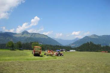 茅舍 Bauernhof Oberhochstaett