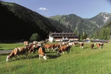 膳宿费 Gasthof Gern Alm