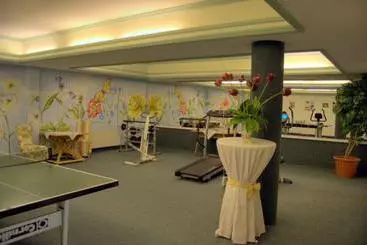 Ilgerhof Garni & Appartement