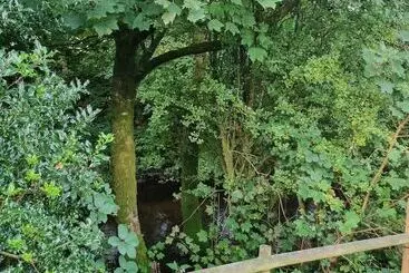 Hotel Glamping Hut   Riverview 4