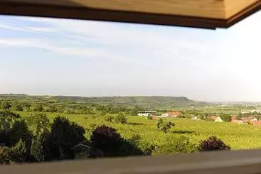 Bed and Breakfast Hammerschmid Pension