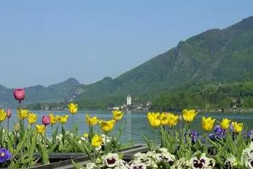 Отель Gästehaus Linderhof