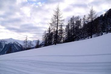 Пансион Bachmann Gasthof