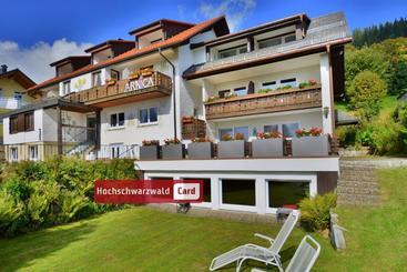 בית מלון כפרי Arnica