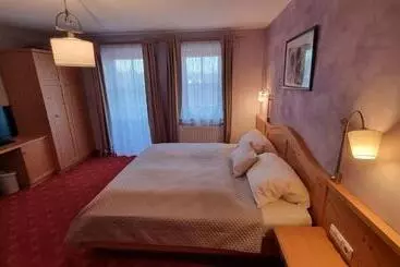 酒店 Pension Geiger