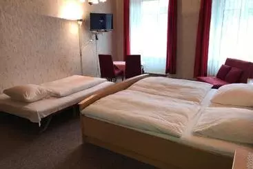 Rheinhotel Starkenburger Hof