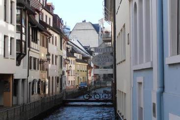 酒店 Markgräfler Hof