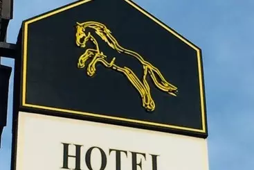 Отель Wildpferd Dülmen