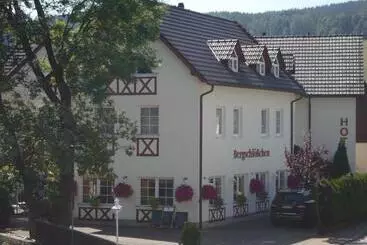 호텔 Bergschlößchen