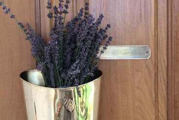 Pension (Hôtel basse catégorie) Margarita