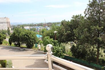 酒店 Golden Line Resort