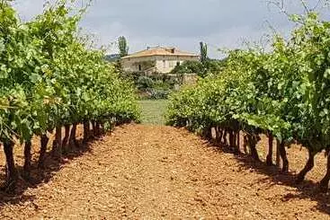 ホテル Mas Castell De Gimenelles