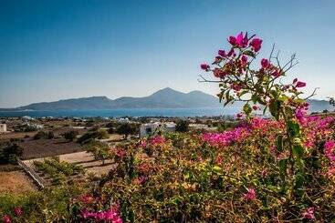 پانسیون Faros Apartments