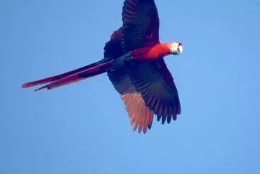 Hotelli Fidelito Ranch & Lodge