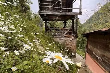 Panorama Bungalov Otel