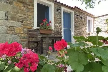 Pensione Mustafa'nin Fidan'i