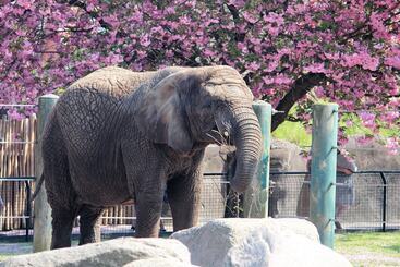 Hotel City Camping Hjørring