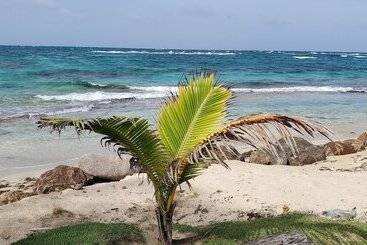 فندق Paraiso Beach