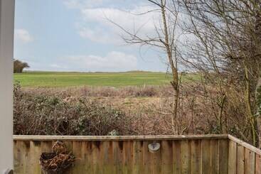 コテージ Field View