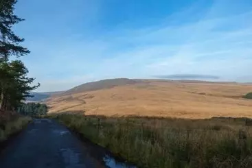 コテージ 88 Regent Street