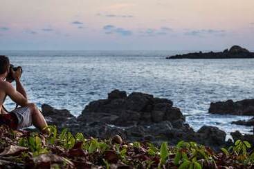 هتل The Jaguars Jungle