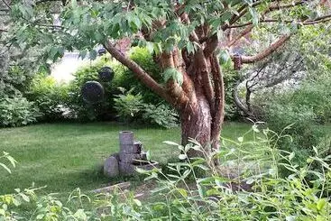 コテージ Villa Gården