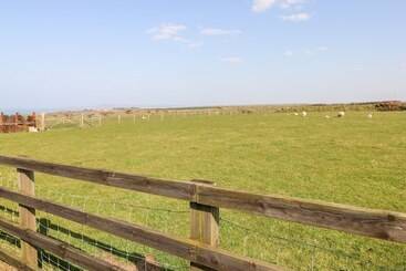 بيت ريفى Bank House Farm