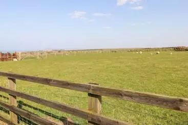 Mökkimajoitus Bank House Farm