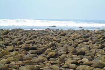 Hostal Los Almendros