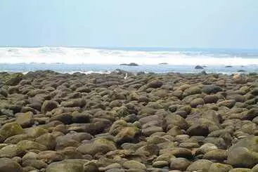 Hostal Los Almendros