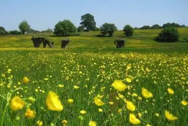 Lomakeskus Bungalowpark Landsrade