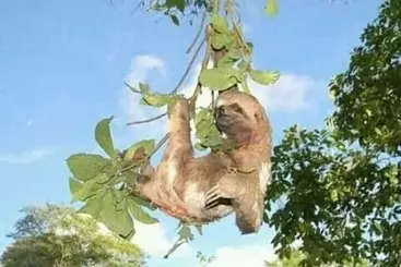 Hotel Jacamar Lodge Expeditions