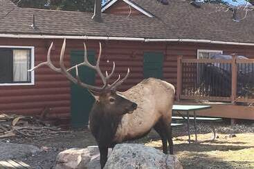 Colorado Cottages