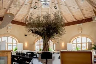 Отель Donau Ries