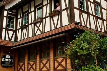 호텔 Alt Ebingen