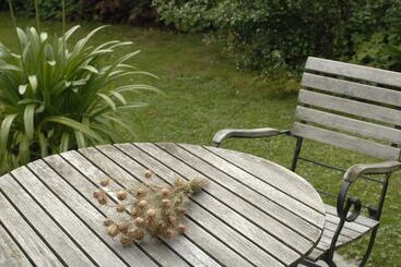 فندق Am Alten Park