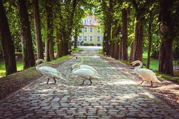 Schlossresidenz   Boutique Apartments & Hotel Suiten