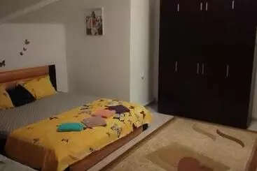 Pansiyon Casa Mocanu