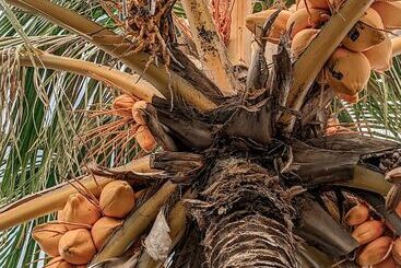 هتل Dhoadhi Retreat