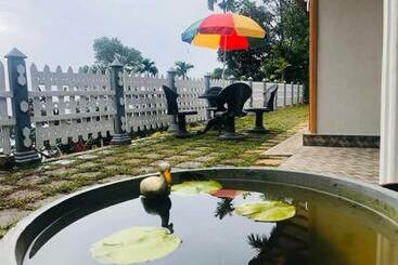 Pensão New Elkaduwa Loft