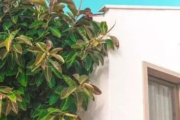 Feri Surf Club Hotel Datça