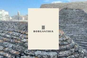 پانسیون Borganthia