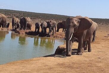 A1 Kynaston Self Catering Or Bed And Breakfast