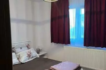 Vakantie-appartementen Sighet Privat și Central