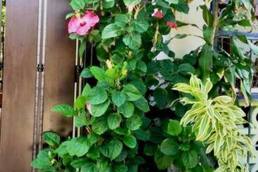 شقق خاصة سياحية Apartamento Jm