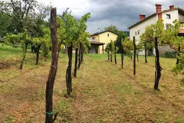 آپارتمانهای توریستها Small House In Vipava Valley