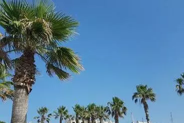 Ferienwohnungen Magnifique 2 Pièces Vue Port Et Mer