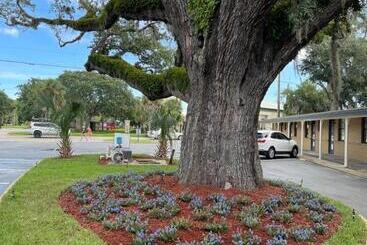 בית מלון כפרי Castillo Inn