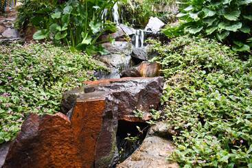 Hotel Waterfalls Boutique