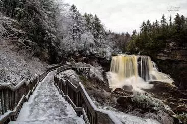 ホテル The Alpine Lodge